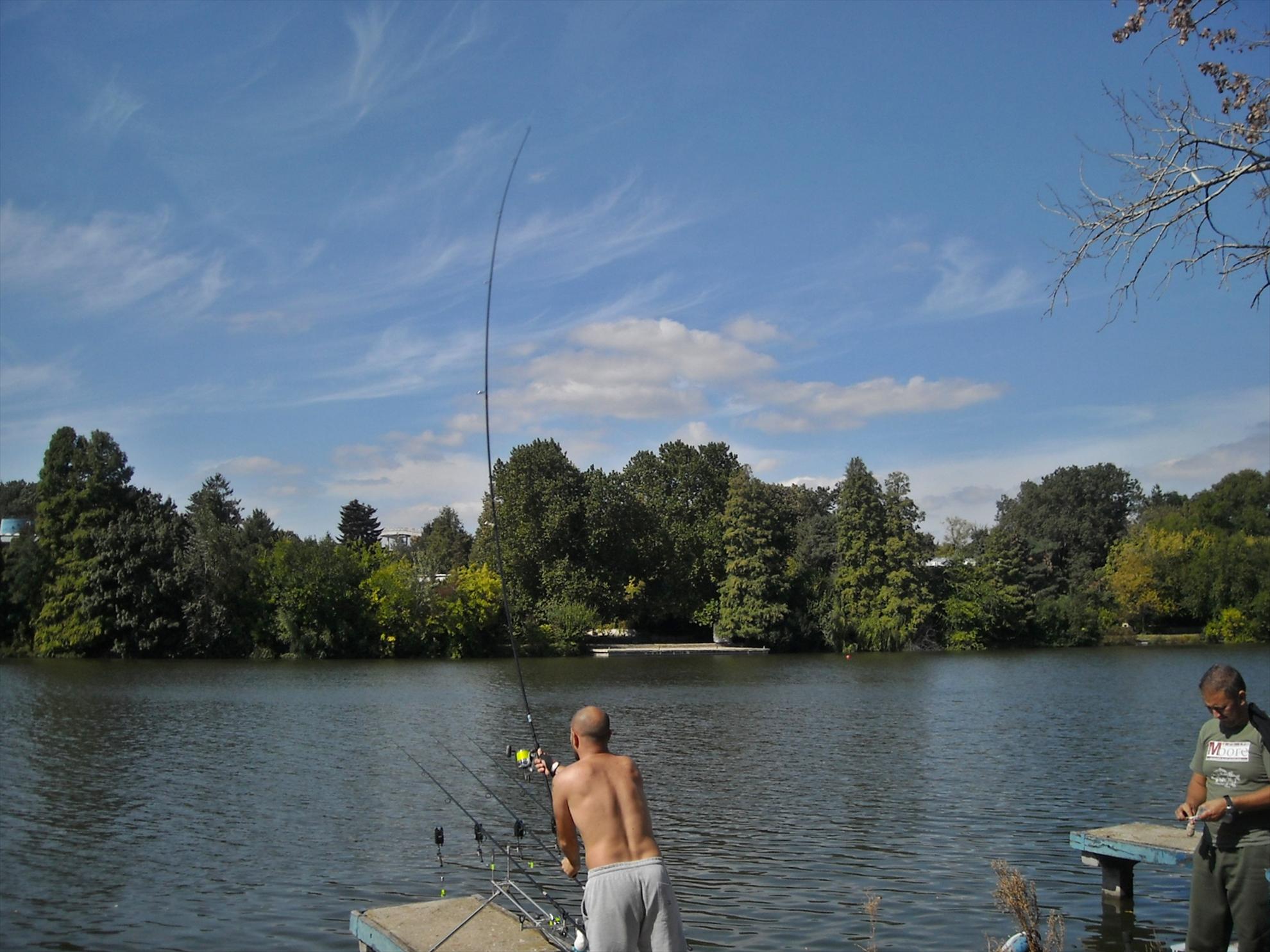 Cupa Bucovina - Floreasca 2010 - dscn8580.jpg